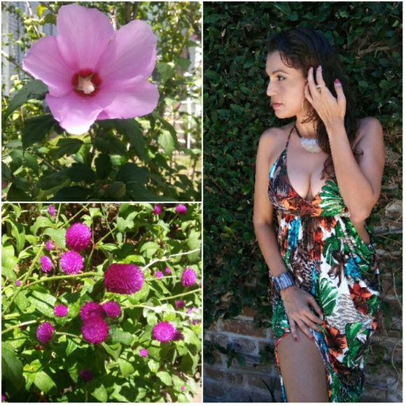 Meet your Posher, Luna - Picture 3 of 7